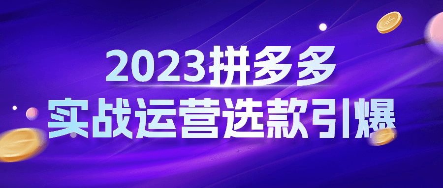 2023拼多多实战运营选款引爆-滑稽小明