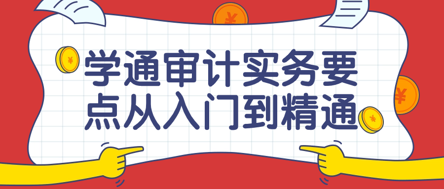 学通审计实务要点从入门到精通课-滑稽小明